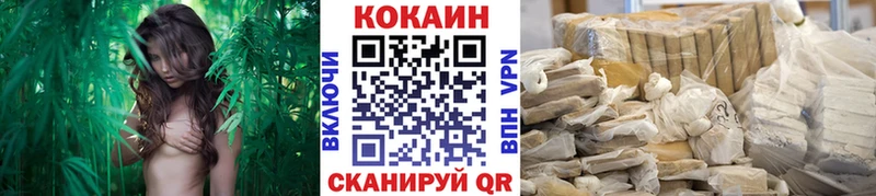 Cocaine Fish Scale  Чайковский 