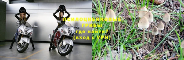 круглые Белокуриха