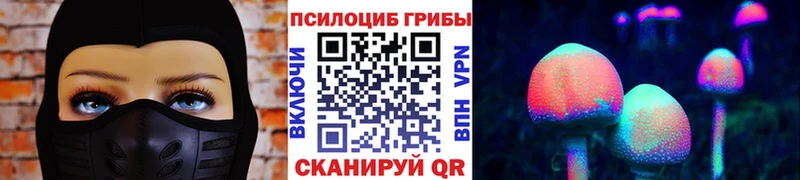 мориарти телеграм  Чайковский  Псилоцибиновые грибы GOLDEN TEACHER 